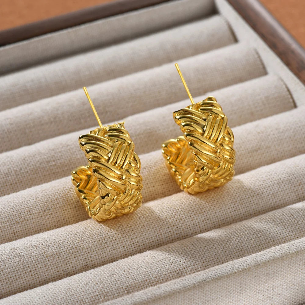 Braided Texture Earrings