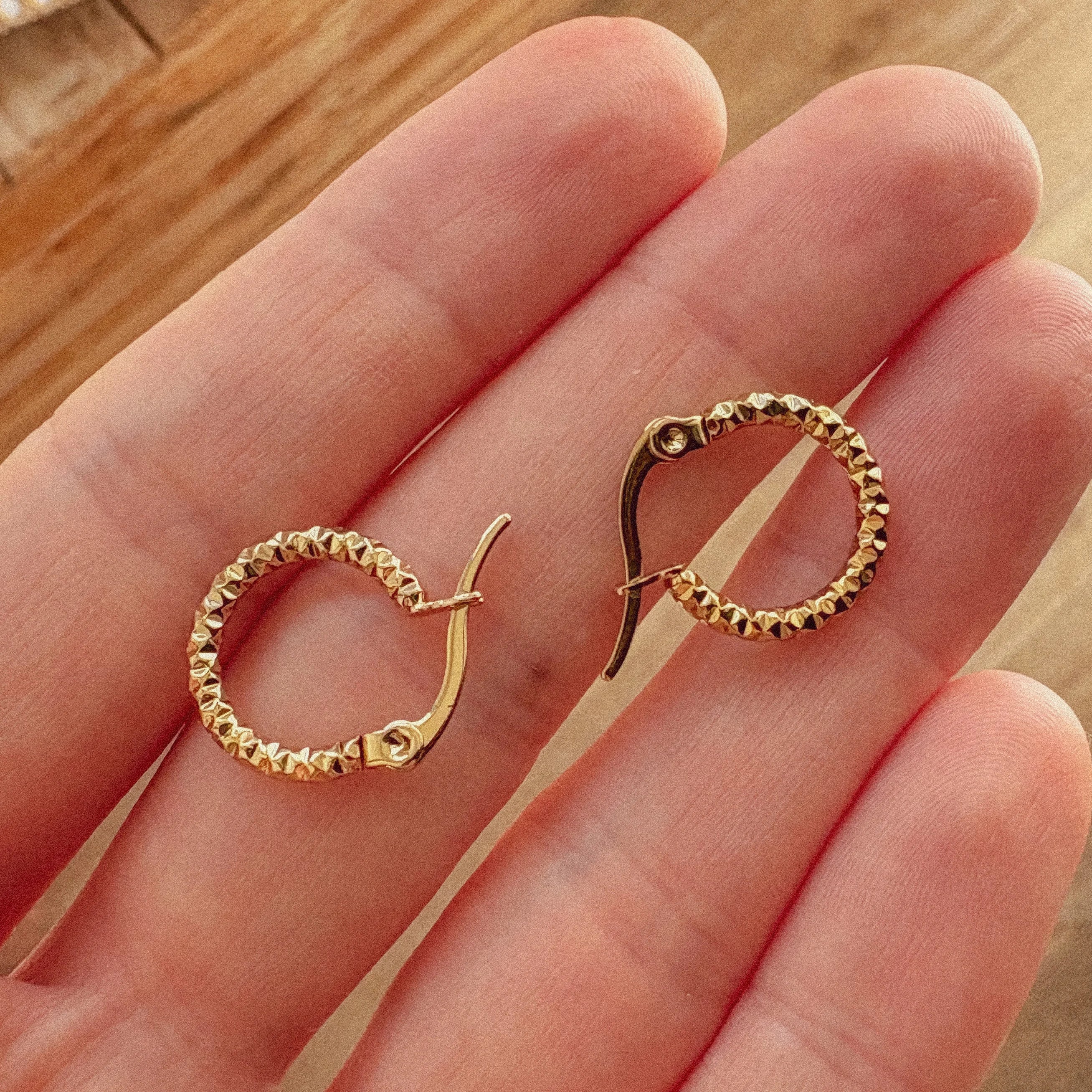 Twisted Hoop Earrings