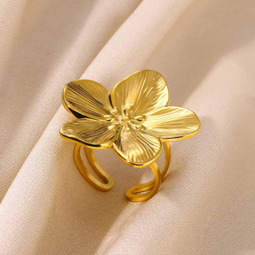 Geometric Open Ring