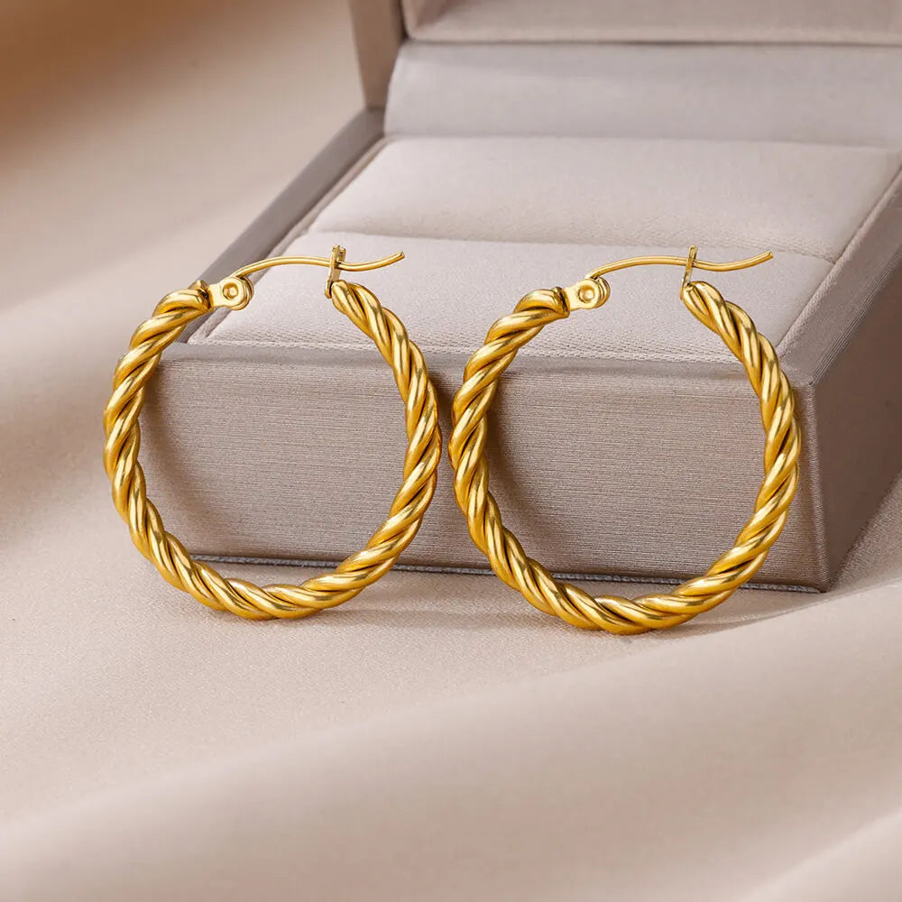 Twisted Hoop Earrings