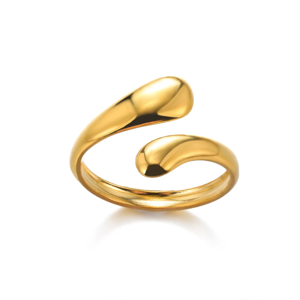 Geometric Open Ring