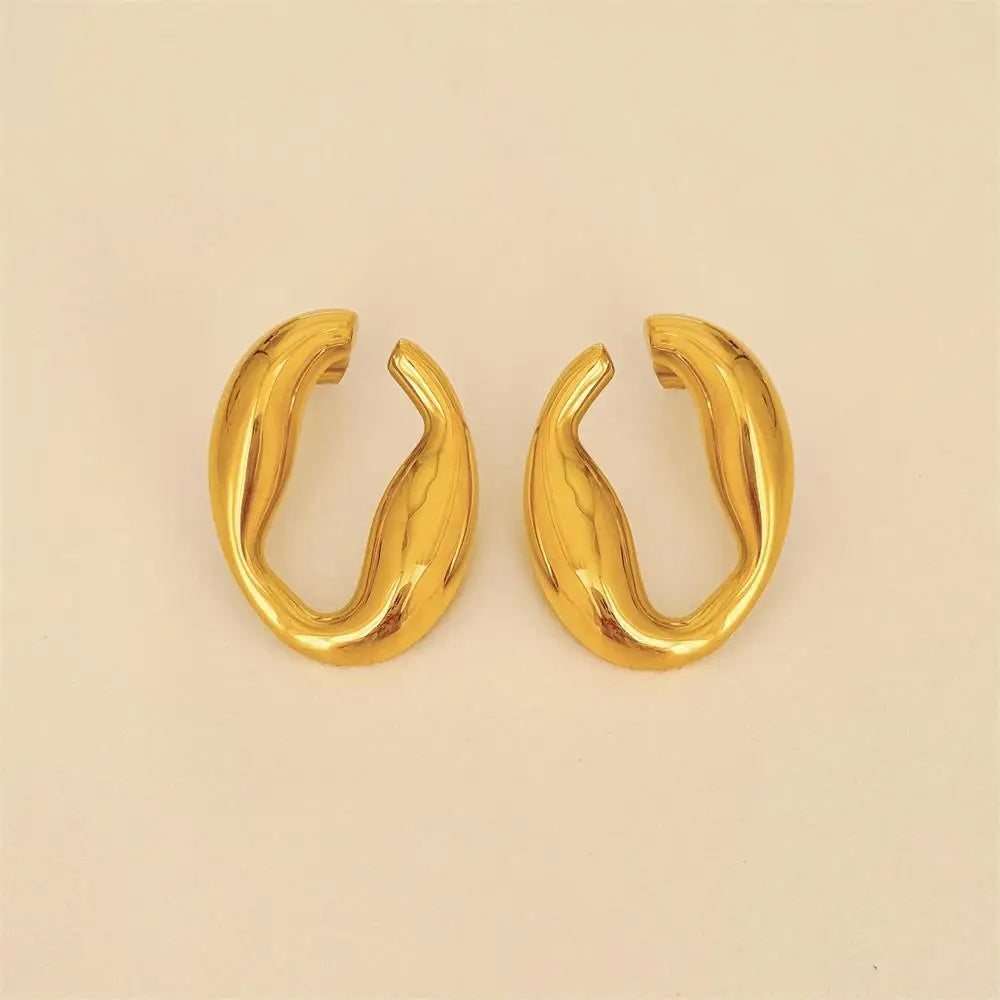 Abstract Curved Earrings