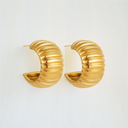 Ribbed Texture Earrings