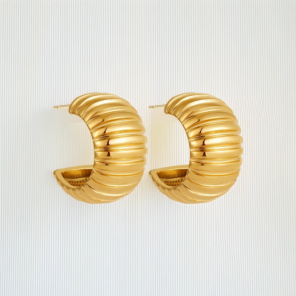 Ribbed Texture Earrings