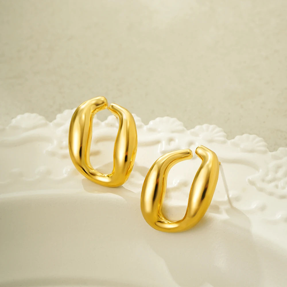 Abstract Curved Earrings
