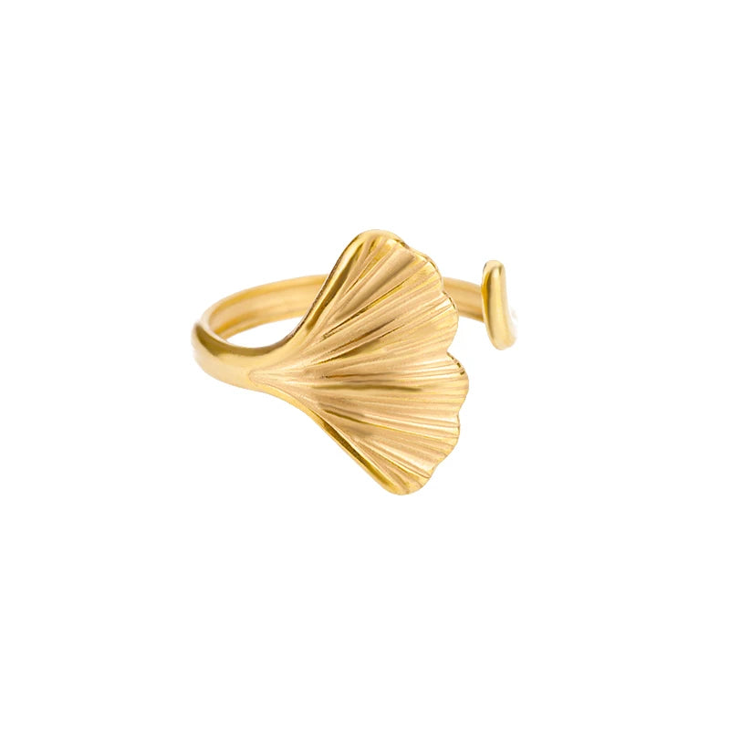 Geometric Open Ring