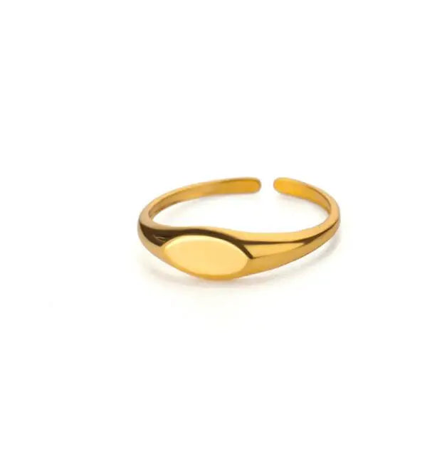 Geometric Open Ring