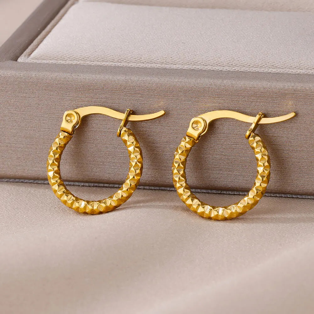 Twisted Hoop Earrings
