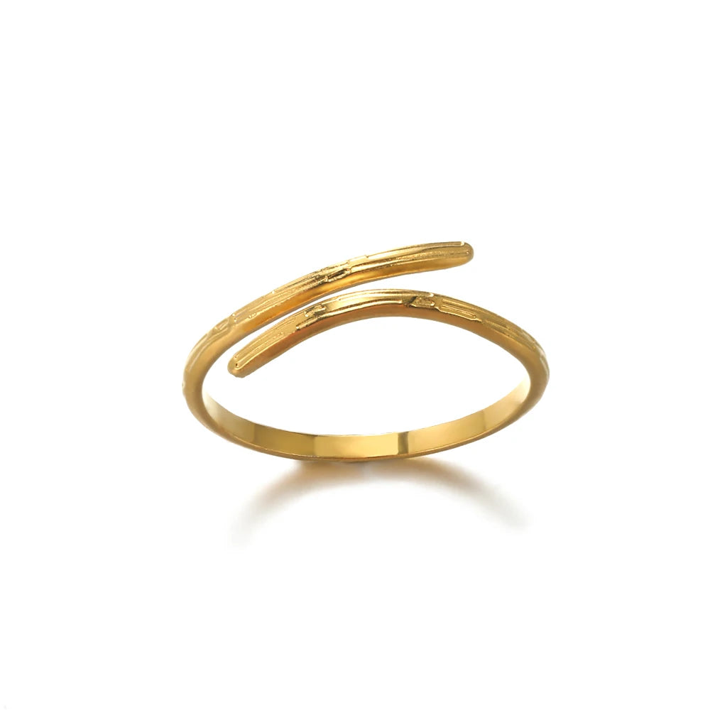 Geometric Open Ring