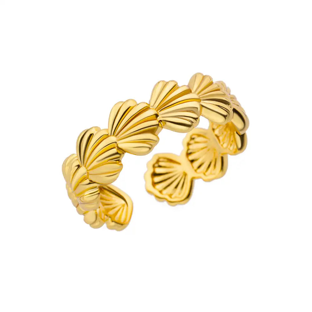 Geometric Open Ring