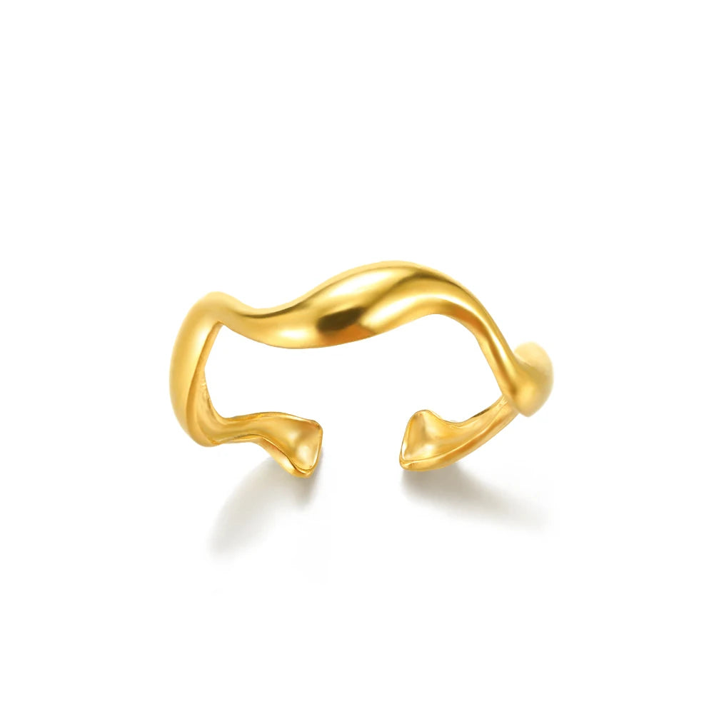 Geometric Open Ring