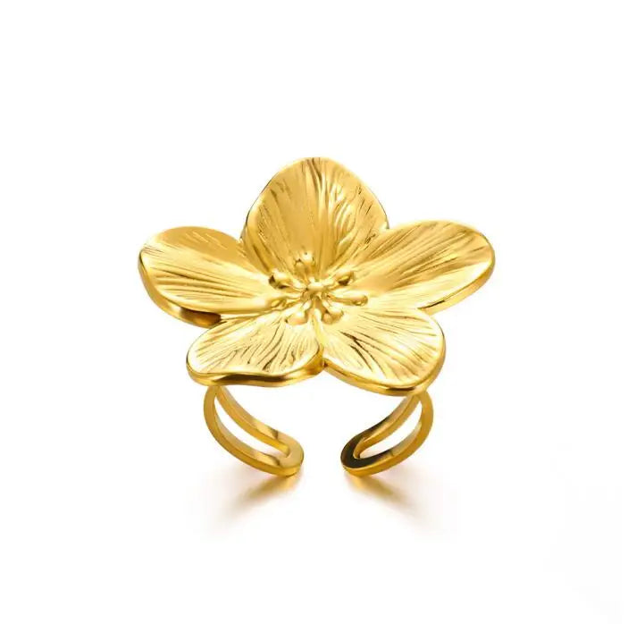 Geometric Open Ring