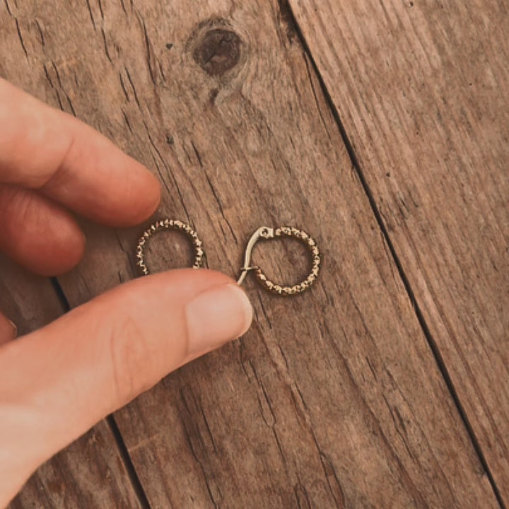 Twisted Hoop Earrings
